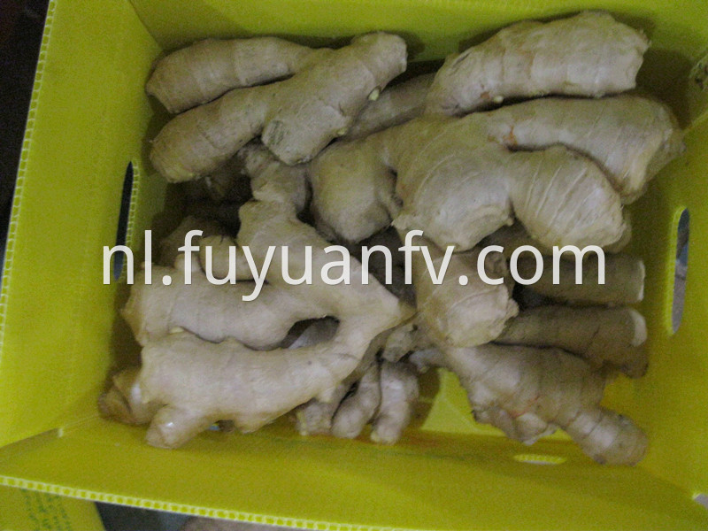 5kg air dried ginger 